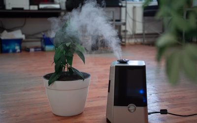 Quel purificateur d’air choisir pour votre maison ?