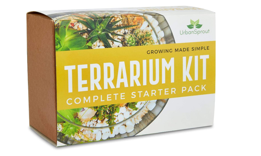 Kit terrarium DIY